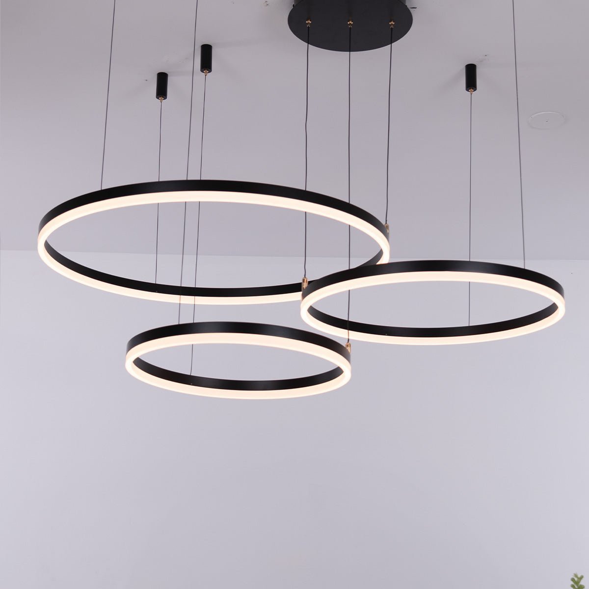 Nordic Ceiling • Black • 50CM + 60CM + 80CM + 100CM - Warehouse Sale - Chandelier - Haus of Interiors