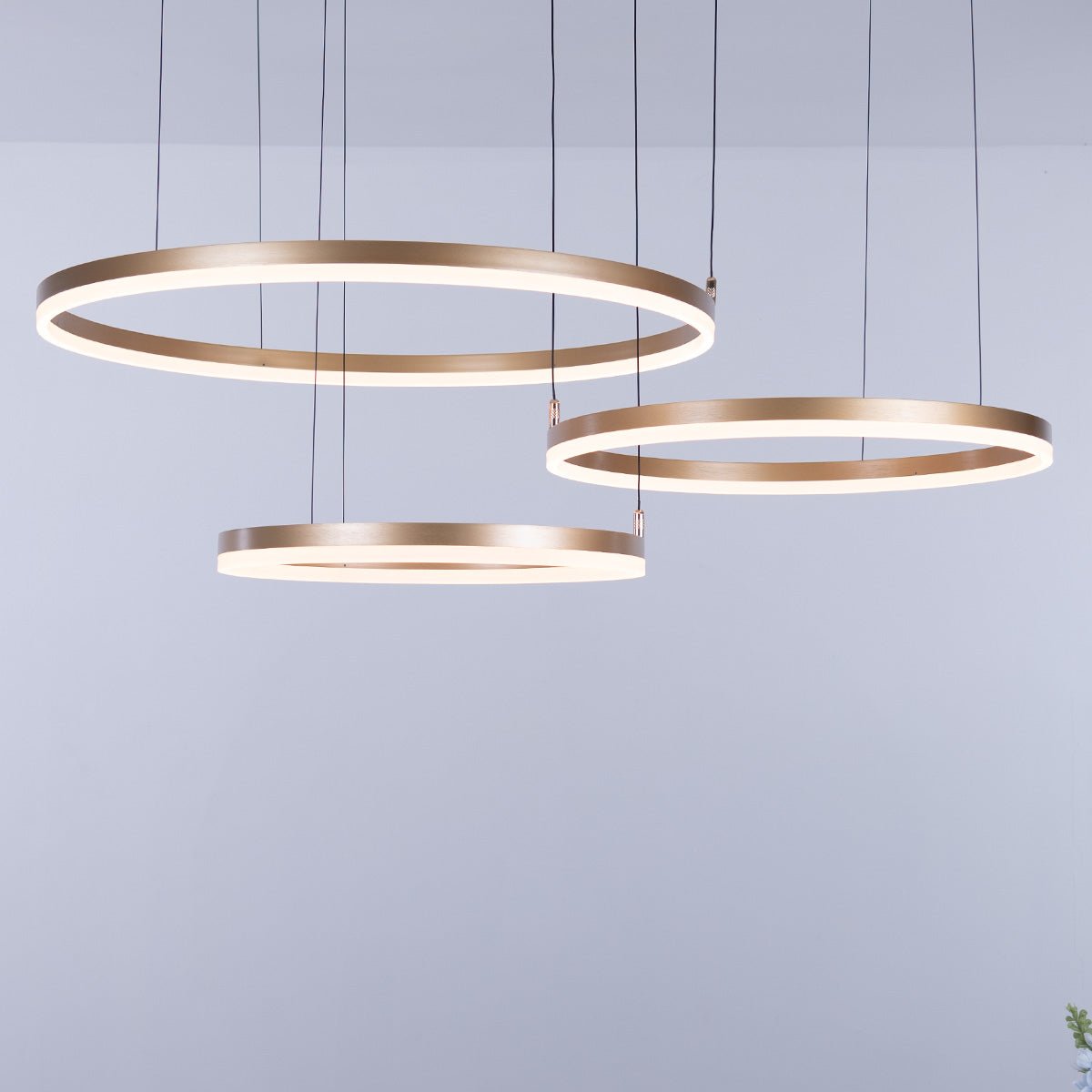 Nordic Rings Ceiling Light • Gold - Chandelier - Haus of Interiors