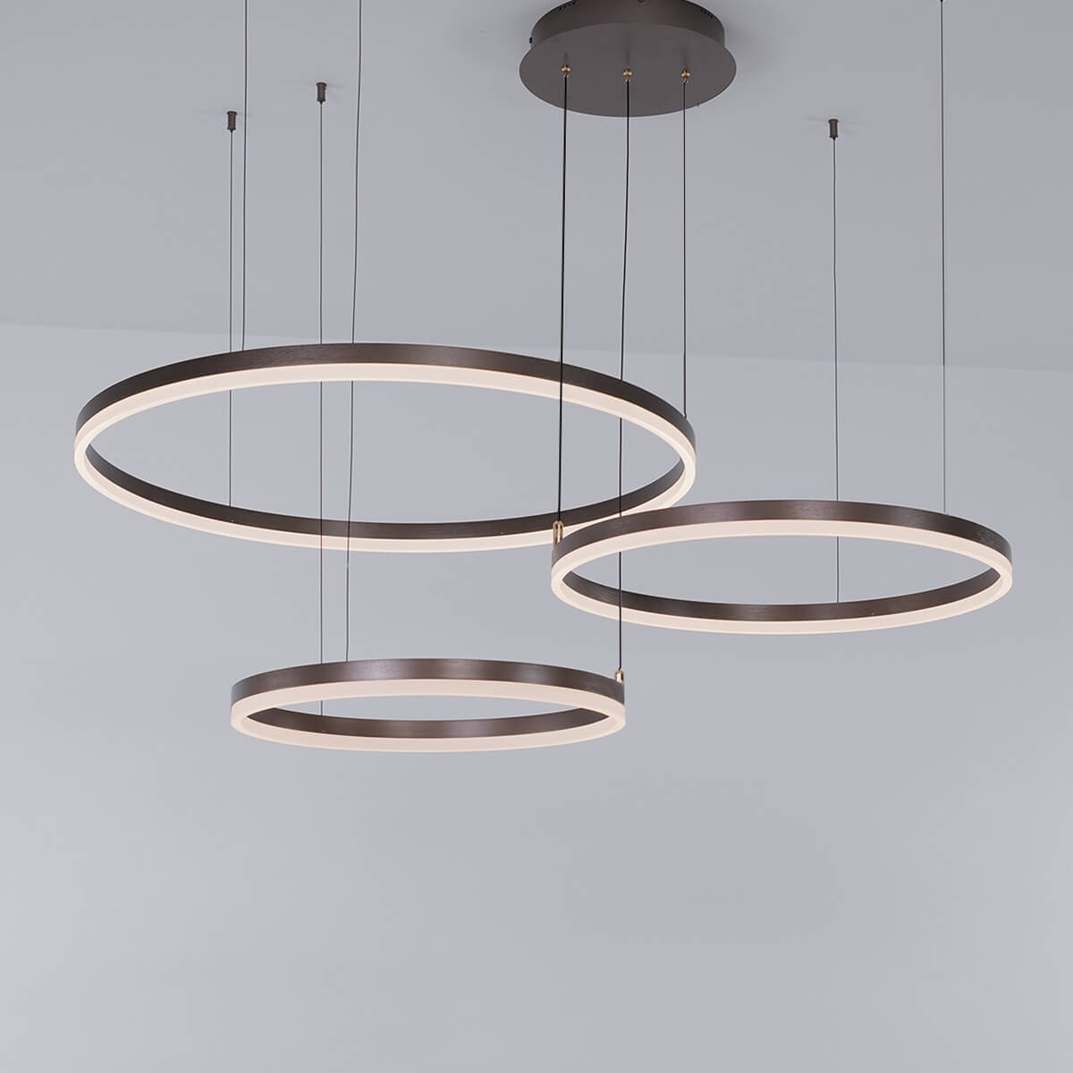 Nordic Rings Ceiling Lights • Brown - Chandelier - Haus of Interiors