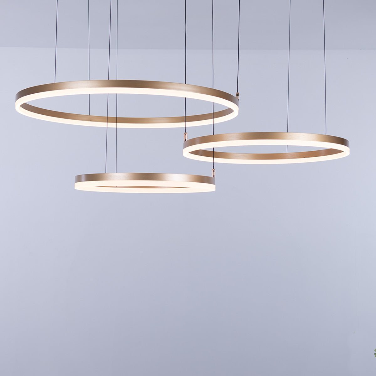 Nordic Rings • Gold • 60CM + 80CM + 100CM - Warehouse Sale - Chandelier - Haus of Interiors